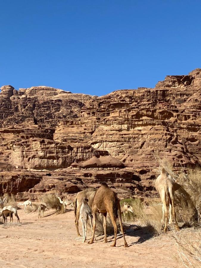 Rum Arjaan Camp Wadi Rum Exterior foto